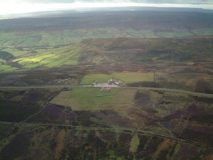 aerial isolated lion inn